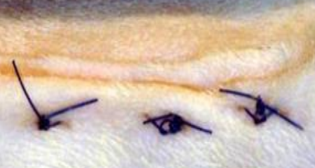 term image