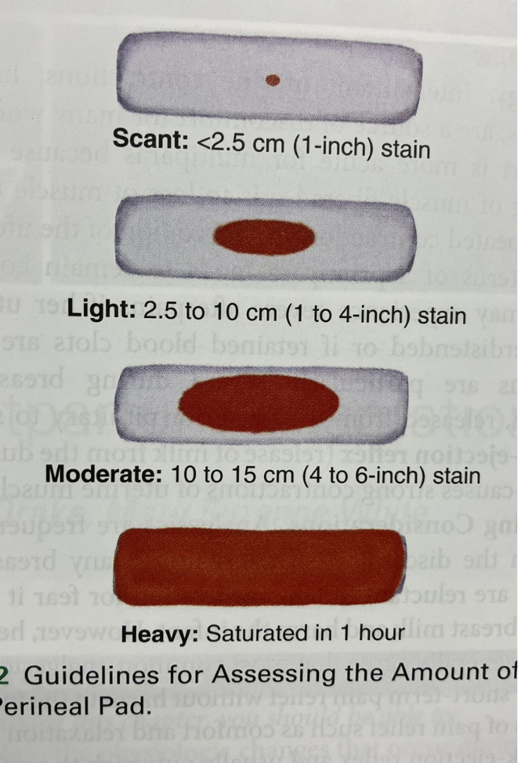 <ul><li><p>Consider</p><ul><li><p>Time since last pad change and any position change</p></li></ul></li><li><p>Quantified blood loss (QBL)</p><ul><li><p>Weigh pad with lochia</p></li><li><p>Weigh clean pad</p></li><li><p>Subtract the difference</p></li></ul></li><li><p>Estimated blood loss (EBL)</p><ul><li><p>Scant</p></li><li><p>Light</p></li><li><p>Moderate</p></li><li><p>Heavy</p></li><li><p>Excessive (saturated in 15 min)</p></li></ul></li></ul><p></p>