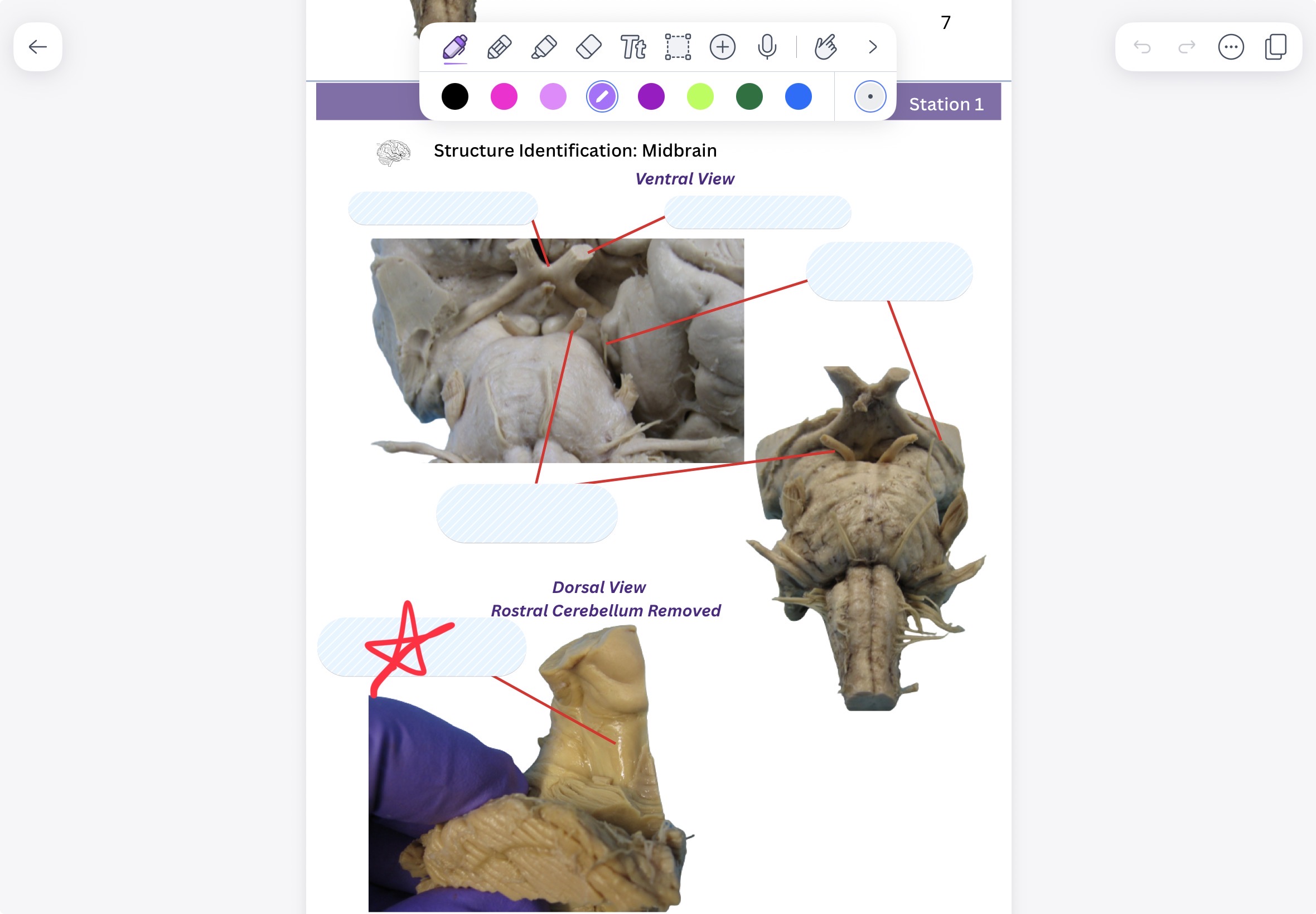 knowt flashcard image