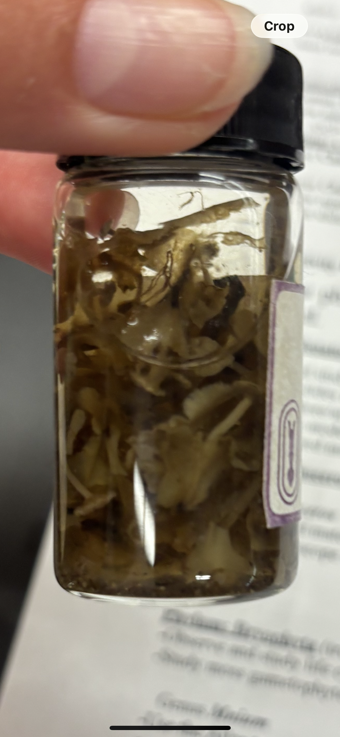 <p>identify</p>