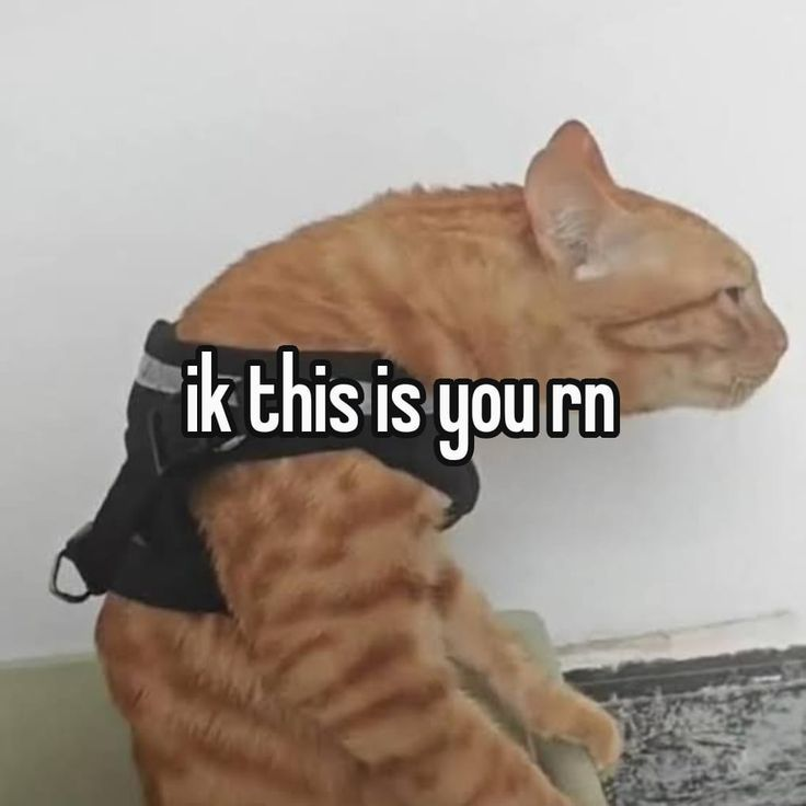 <p>Refrigerant recovery</p>