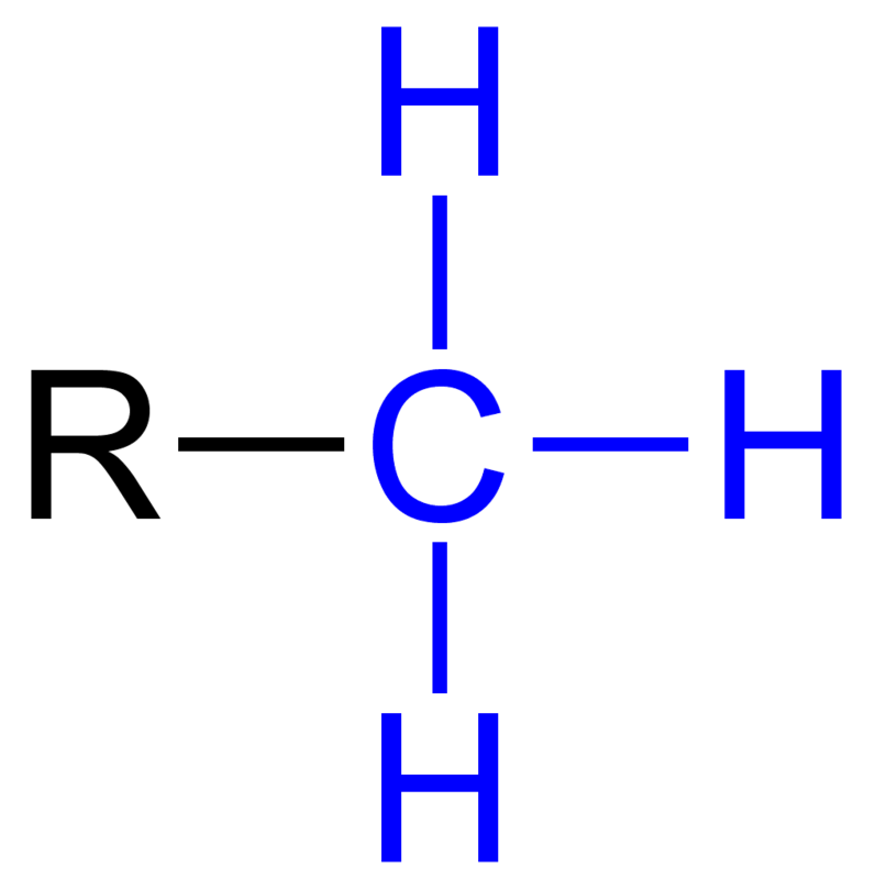 <p>A functional group where a central carbon atom is bonded to an R group and three hydrogen atoms. May be attached to DNA, proteins, and carbohydrates, and is nonpolar.</p>