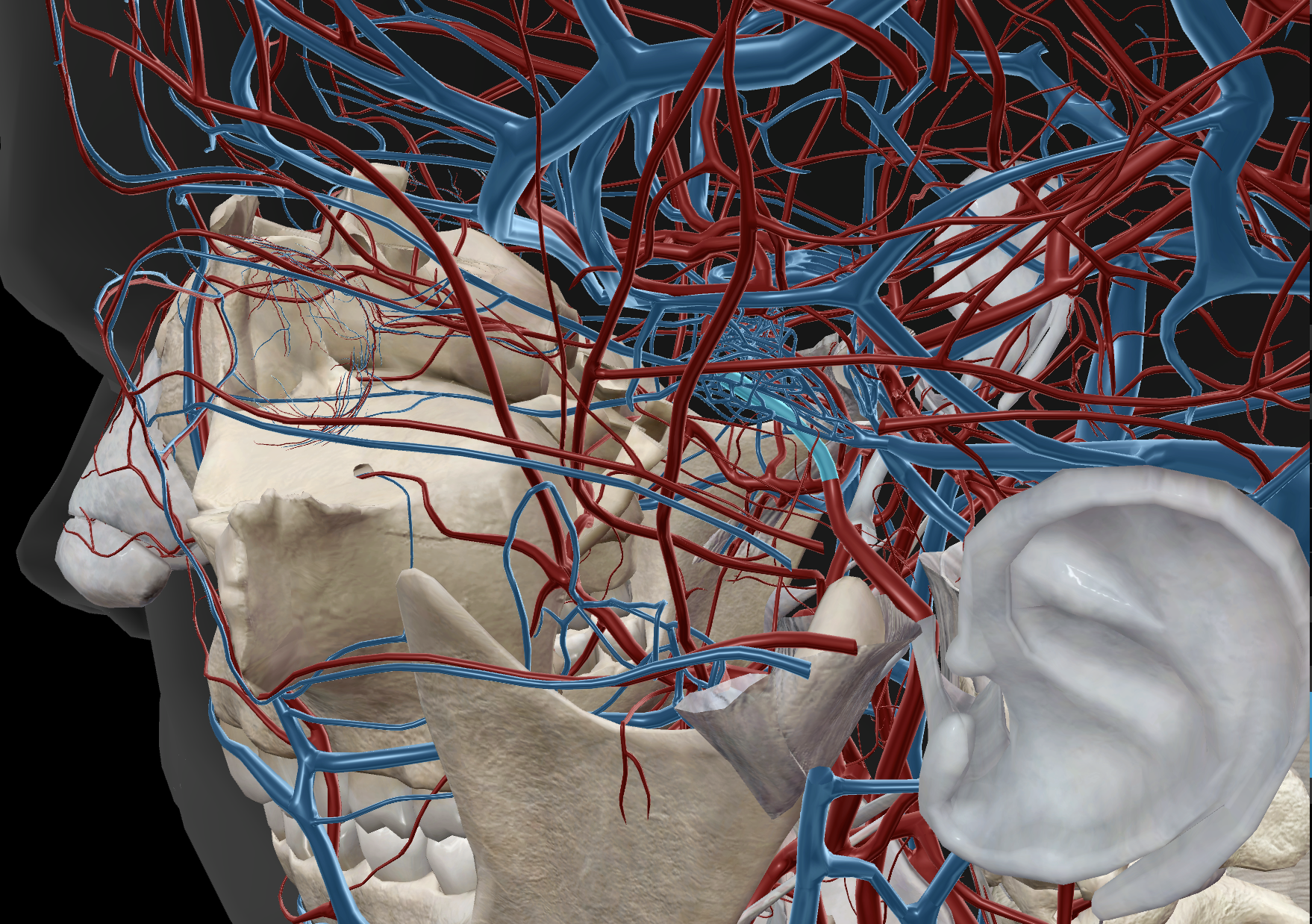 knowt flashcard image