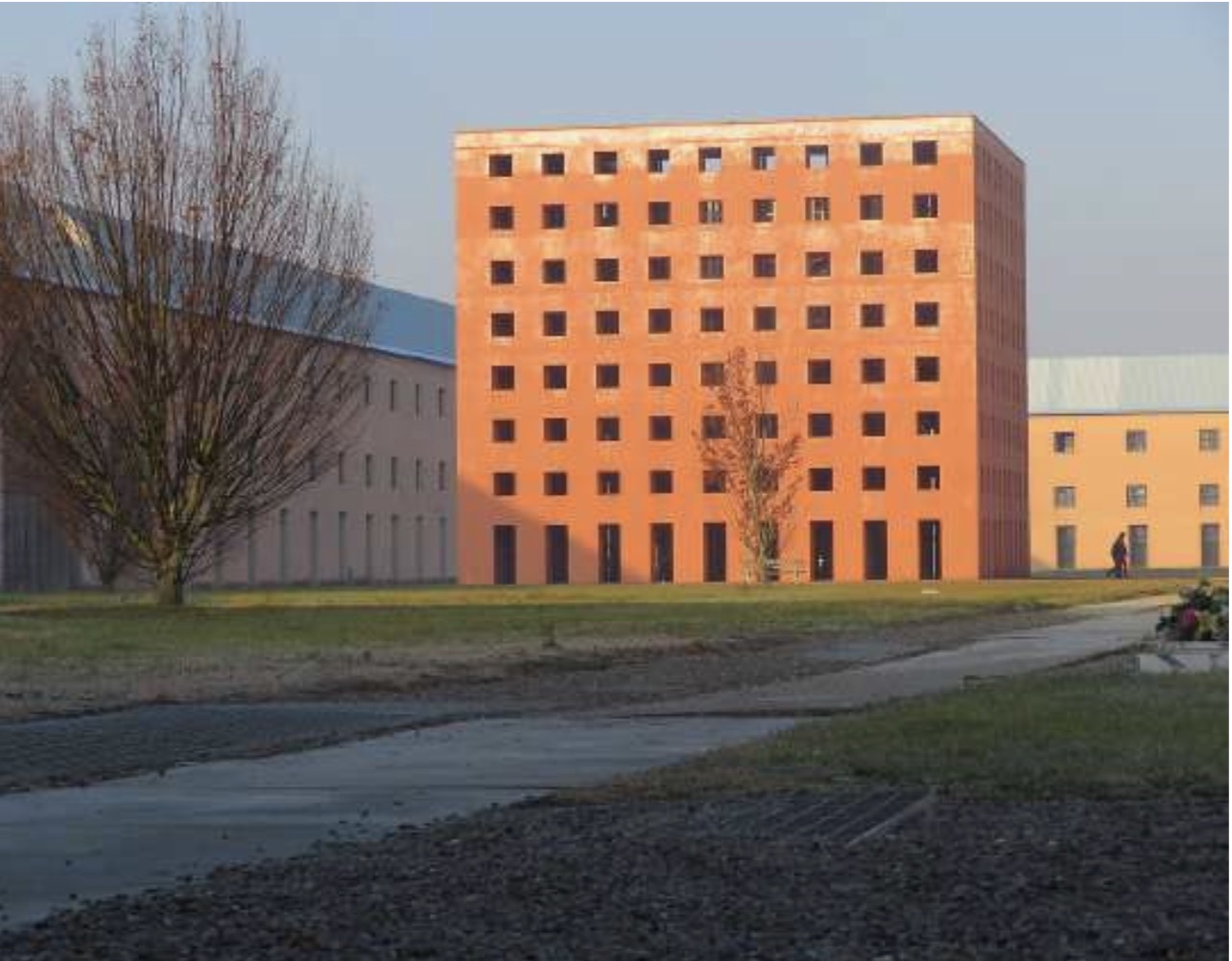 term image