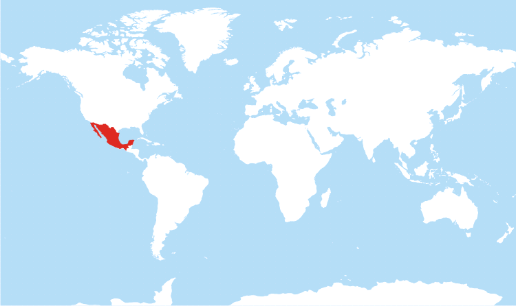 <p>mexico</p>
