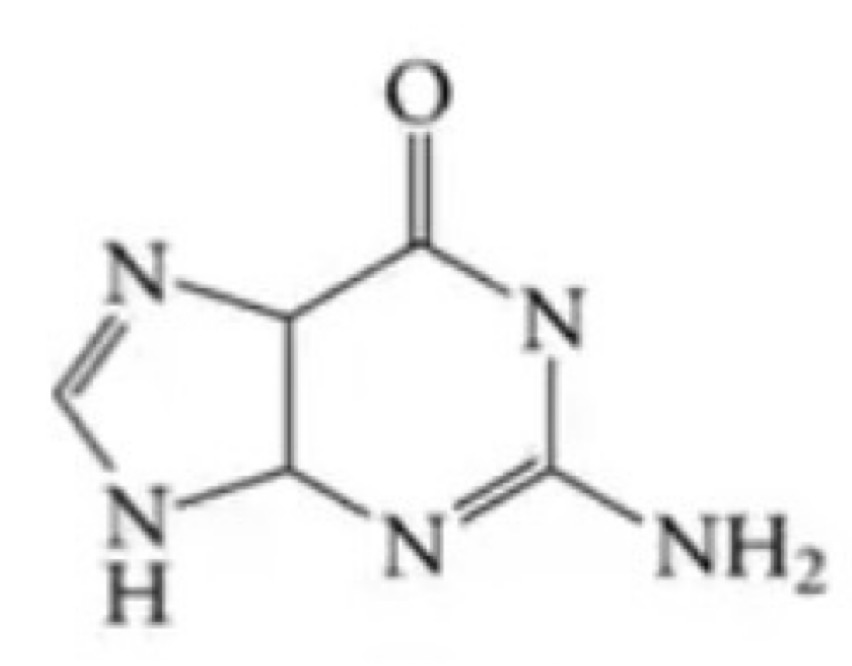 <p>Is guanine a purine or pyrimidine base?</p>