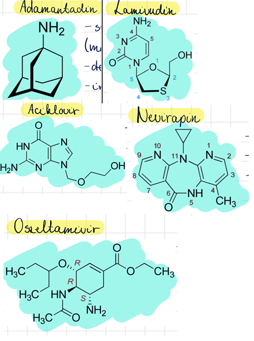<p>amantadin <br>aciklovir (Zovirax) <br>nevirapin (Viramune) <br>oszeltamivir (Tamiflu) <br>lamivudin (Epivir)</p>
