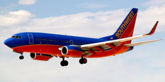 <p>a plane</p>