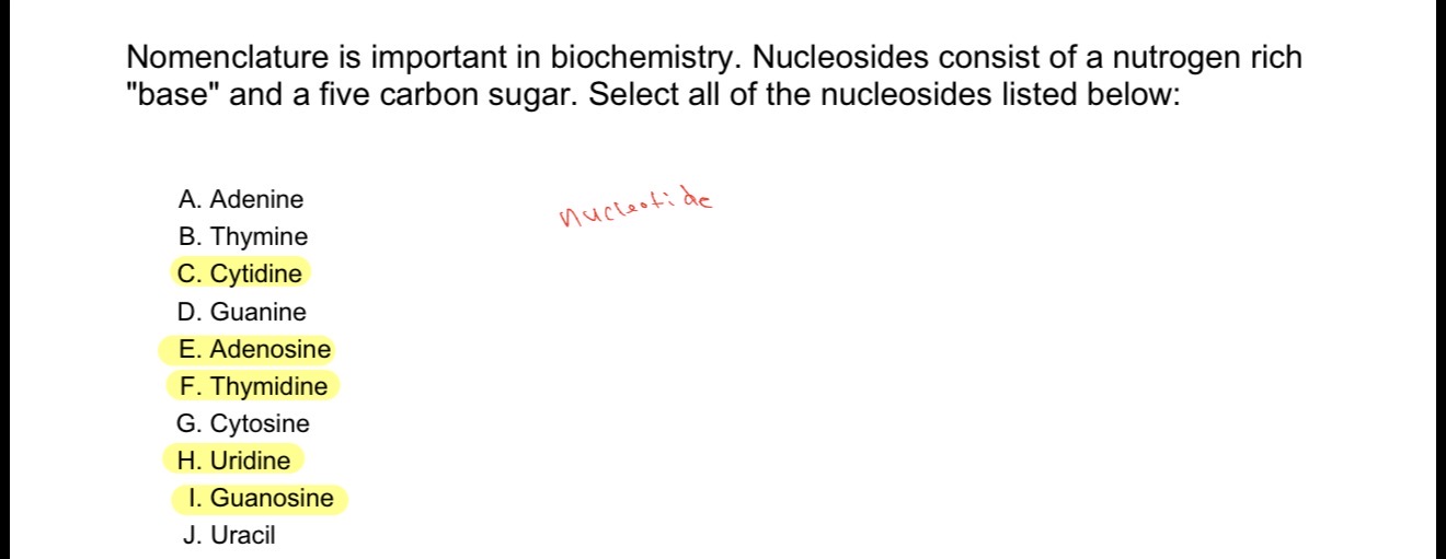 term image