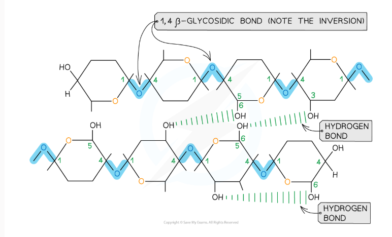 knowt flashcard image