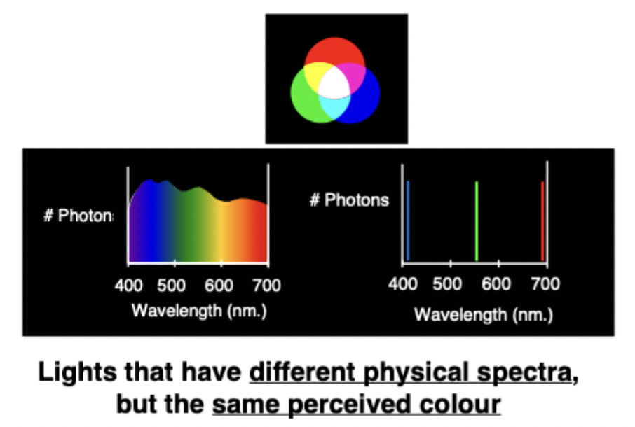 <ul><li><p>Lights that have different physical spectra, but the same perceived colour</p></li></ul><img src="https://assets.knowt.com/user-attachments/7e3481af-cd64-4793-bbf9-fc60b1c3da8e.png" data-width="100%" data-align="center"><p></p>