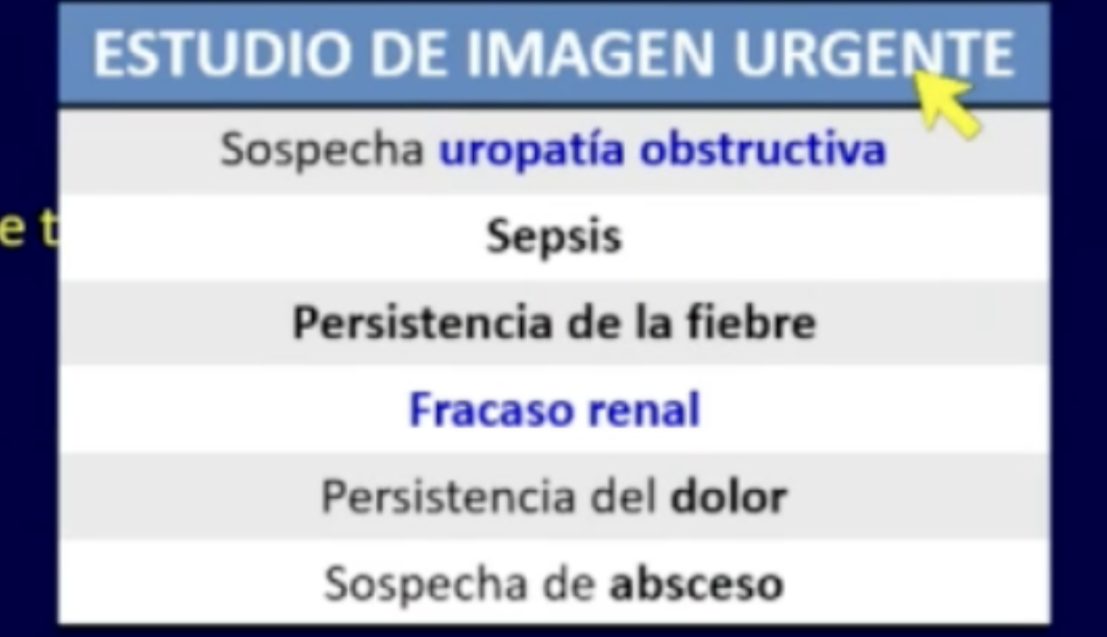 <p>Estudio de imagen en patología urinaria </p>