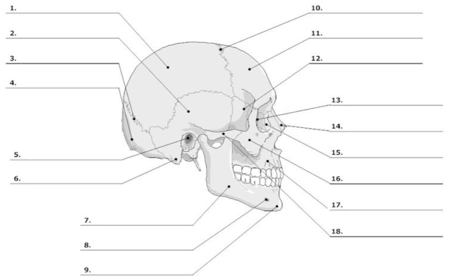 <p>What is number 16?</p>
