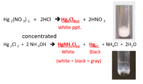 <p><span style="line-height: 0px;">METALLIC IONS​: <strong>Hg</strong></span><span style="background-color: inherit; line-height: 0px;"><strong><sup>1+ </sup>(mercurous ion)</strong></span></p>