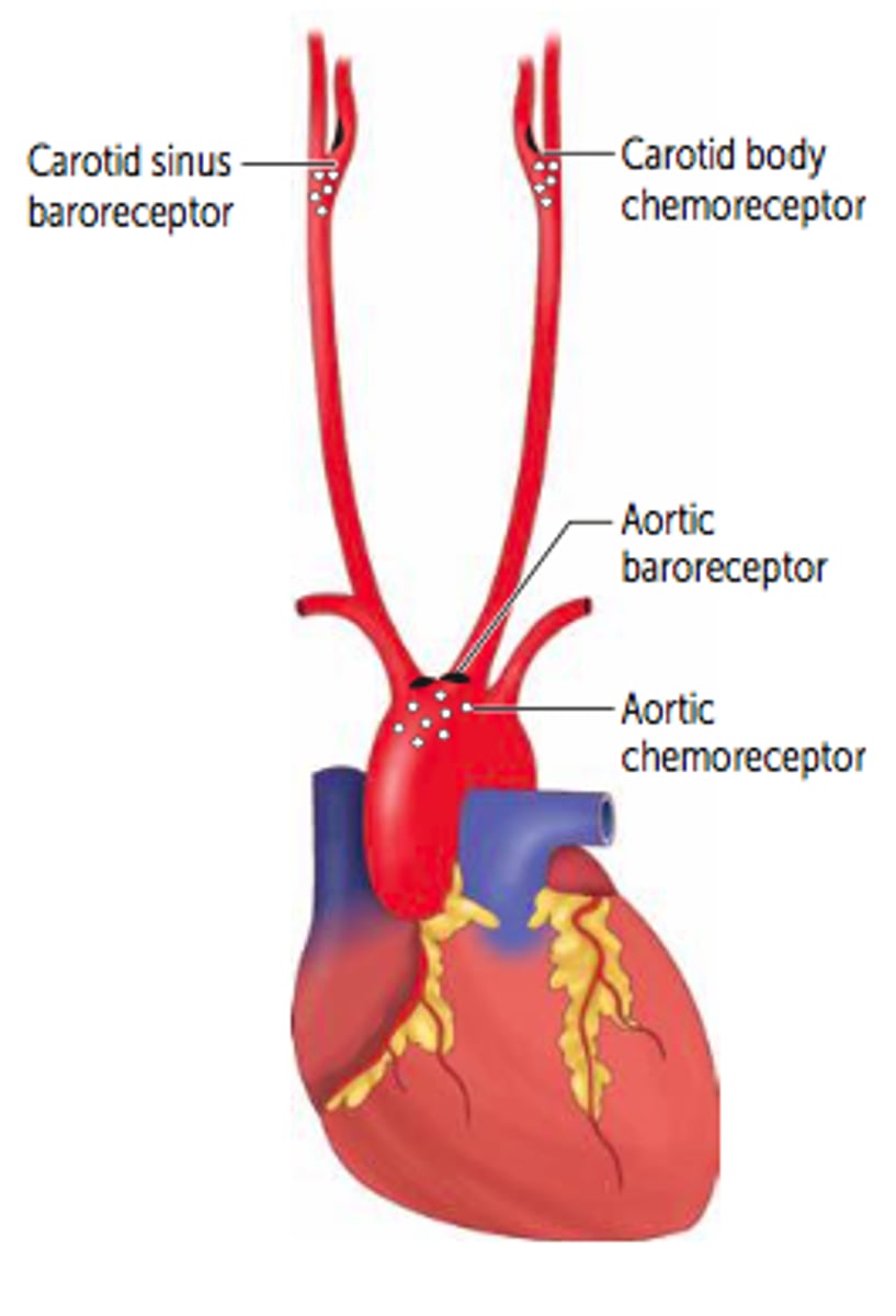 <p>Detect blood pressure</p>