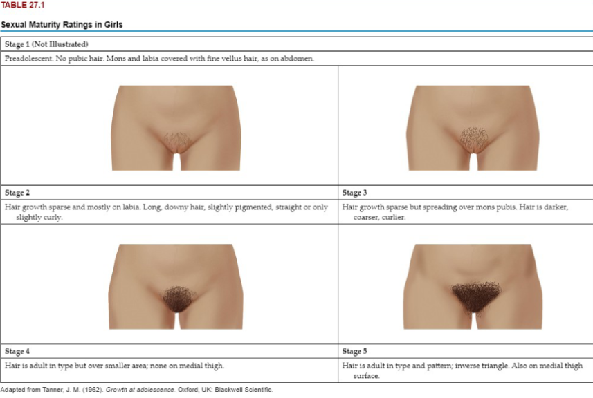 <p>stage 1-stage 5</p>