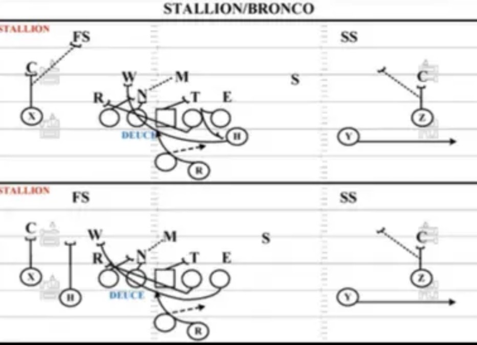 <p>BRONCO</p>