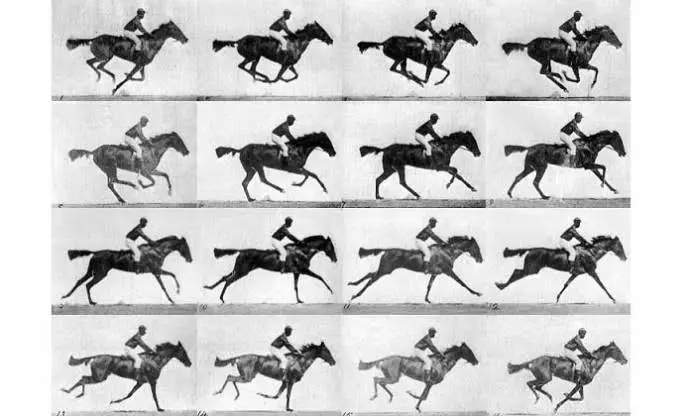 <p>Muybridge, <em>Sallie Gardner (The Horse in Motion)</em>, 1878</p>