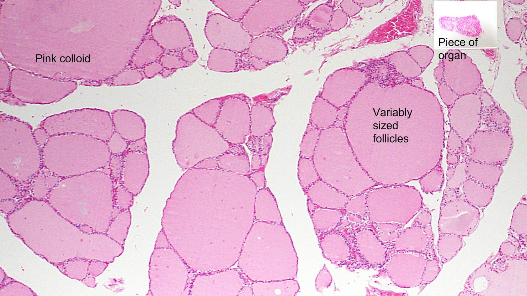 <p>What is this and how do we know?</p>