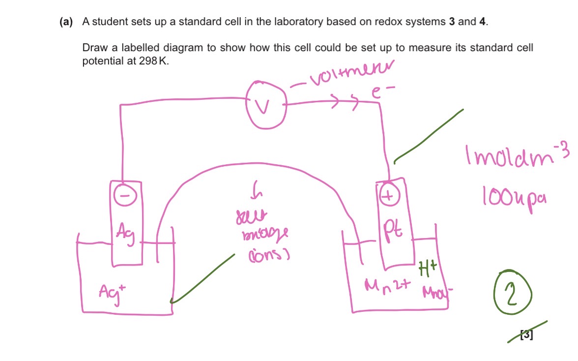 knowt flashcard image