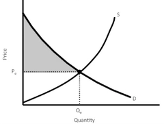 <p>The amount a buyer is willing to pay for a good minus the amount the buyer actually pays for it.</p>