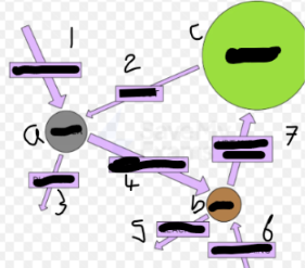 <p>What is this model called and what does it do? (image)</p>