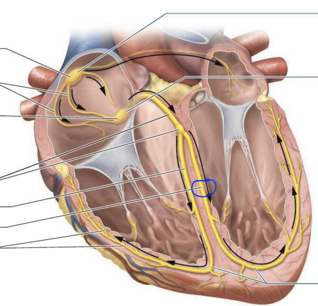 <p></p>