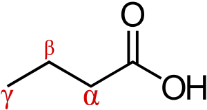 <p>Carboxyl group</p><p>Amino group</p><p>R group</p><p>Hydrogen atom </p><ul><li><p>it is different in Glycine since its R group is another Hydrogen atom </p></li></ul><p></p>
