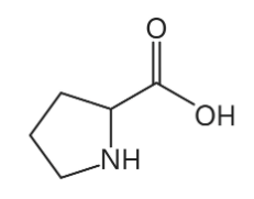 <p>imino acid</p>
