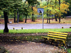<p>el parque</p>