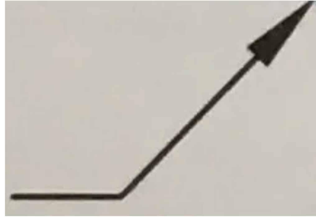 <p>Identify the linetype.</p>