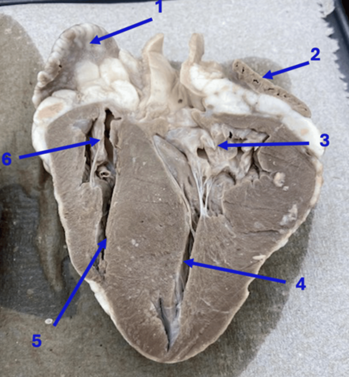 <p>1</p>