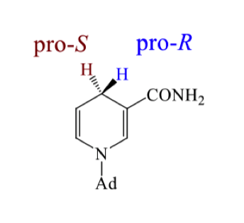 <p>how can we determine which is Pro S and which is Pro R? determine it</p>