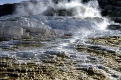 <p>las aguas termales</p>