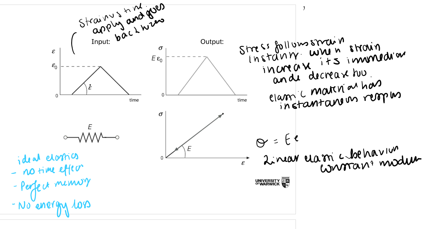 <p>how are ideal elastic behaviours represented here</p>