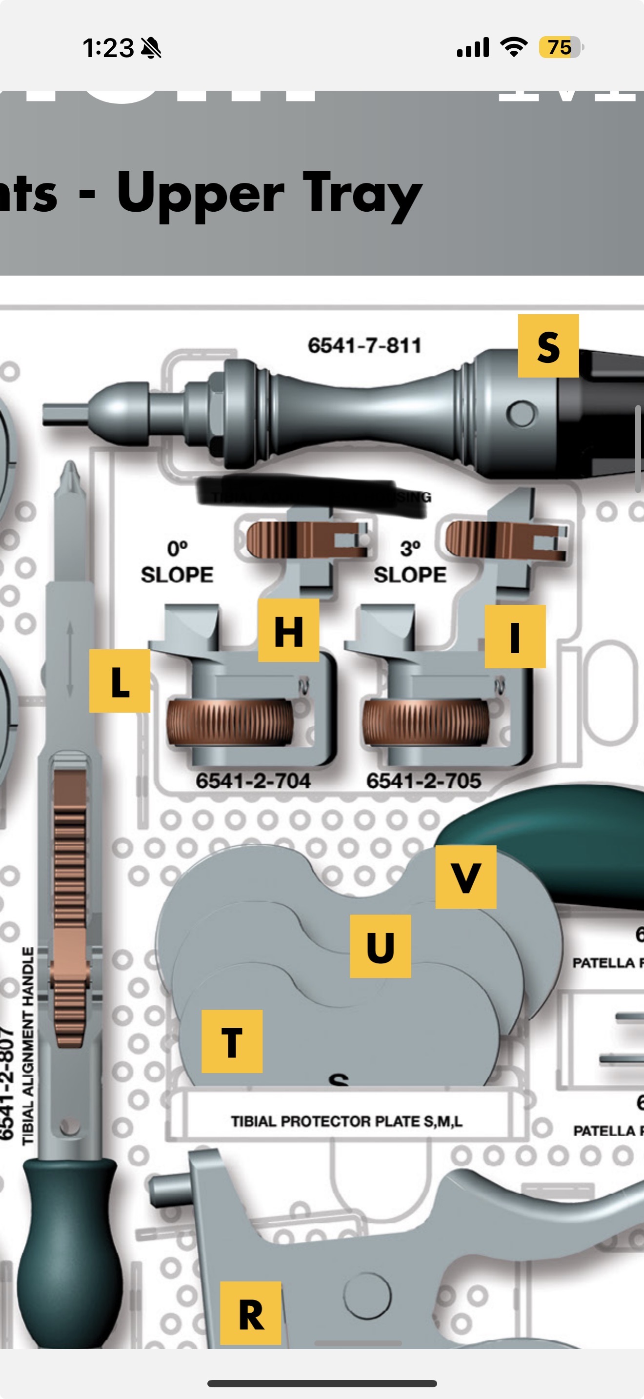 term image