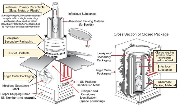 <ul><li><p>Triple packaging system</p><ul><li><p>Watertight primary receptacle(s)</p></li><li><p>watertight secondary packaging (for liquids, secondary packaging must contain absorbent material to absorb all material); and rigid outer packaging</p></li><li><p>Each surface of the external dimension must be 100 mm (3.9 in) or more.</p></li></ul></li><li><p>Completed packaging must pass specific performance testing</p><ul><li><p>Drop test and water-spray test</p></li><li><p>Capable of withstanding an internal pressure producing a pressure differential of not less than 95 kPa (0.95 bar, 14 psi) </p></li><li><p>withstand temps in the range of -40C to +55C (-40F to 131F).</p></li></ul></li><li><p>Needs to be on label </p><ul><li><p>marked infectious substances affecting humans UN 2814 or affecting animals UN 2900 </p></li><li><p>Division 6.2 infectious substance label </p></li><li><p>shipping paper and emergency response info </p></li></ul></li></ul><p></p>