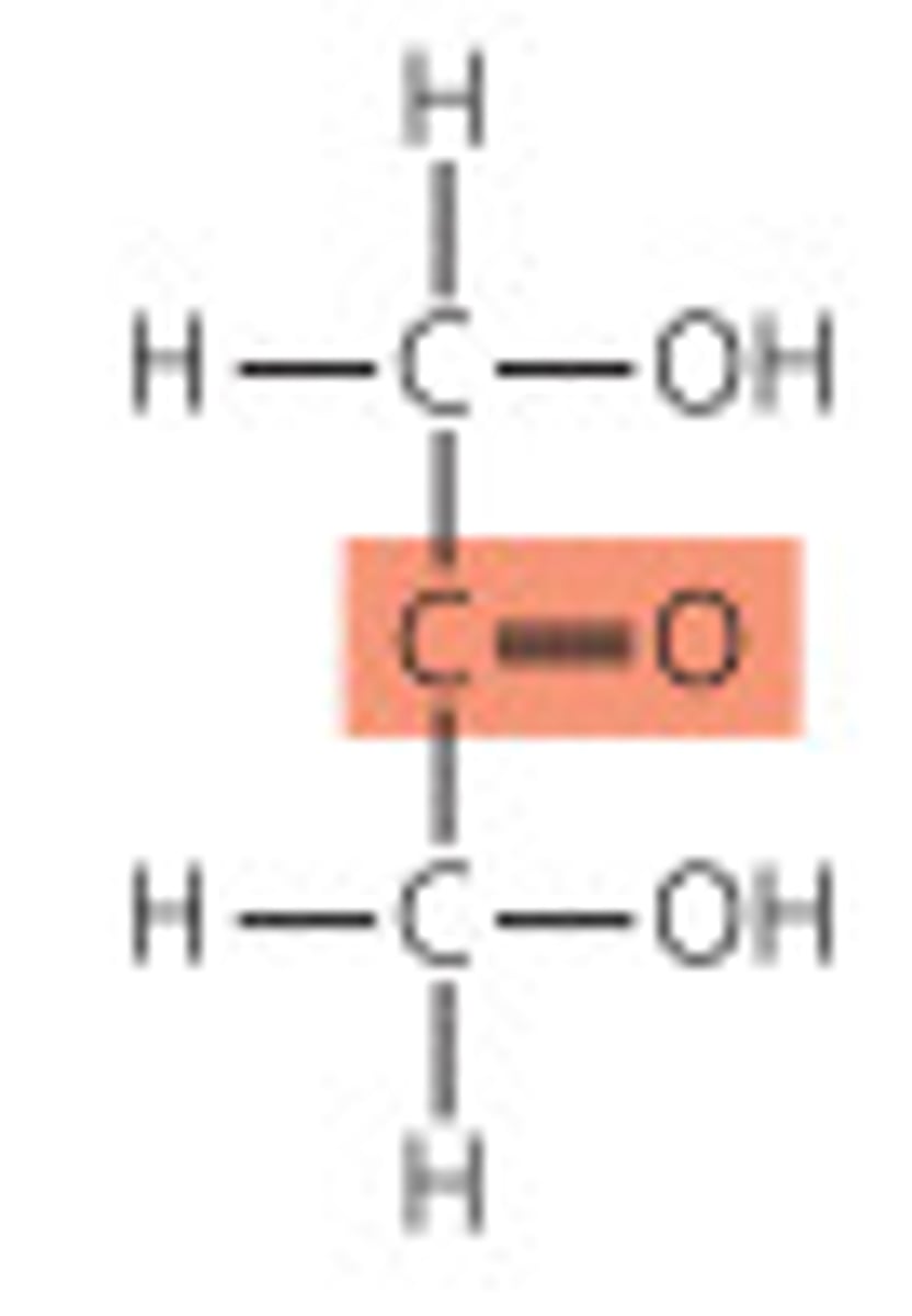 <p>Carbohydrates that contain a ketone group as their most oxidized functional group</p><p>Ex - ketopentose</p>