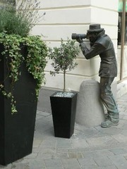 <p>a freelance photographer who pursues celebrities to get photographs of them.</p>