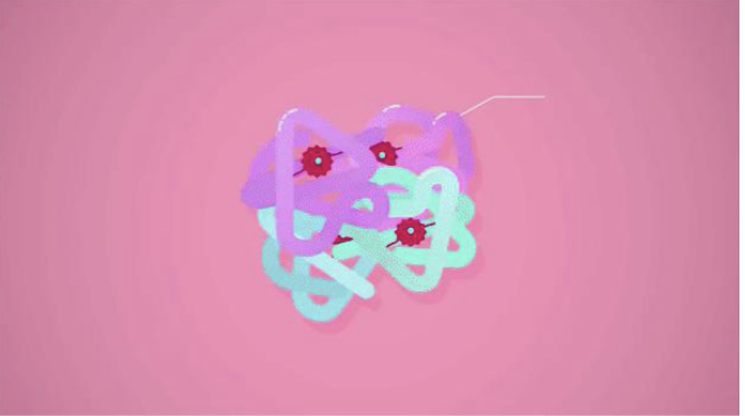 <p>It makes <strong>fetal hemoglobin</strong> <strong>bind</strong> to <strong>oxygen</strong> more</p>