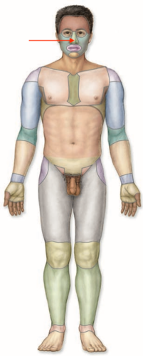 <p>what is this section called?</p>