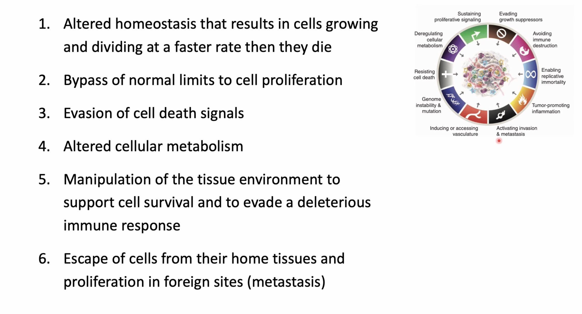 <p>Cancer begins in one cell that progressively accumulates mutations, leading to the development of cancer. It can do this because its proliferation is unchecked and its progeny outcompetes normal cells.<br>Accumulation of mutations increase its proliferative advantage, eventually getting the ability ot envade other tissues and metastasise.</p><p></p><p>Combination of epigenetic and genetic changes could be involved.</p><p></p><p>Increase cell divions, normal apoptosis, vice versa, both.</p><p></p><p>The tumour micro-environment plays a key role in tumourosgenesis. Composed of many different cell types like cancer cells, endothelial cells, pericytes, fibroblasts, and inflammatory WBC. Communication between these cells plays key role in cancer development. Only the cancer cells however, have that genetically unnormal mutaiton.</p>