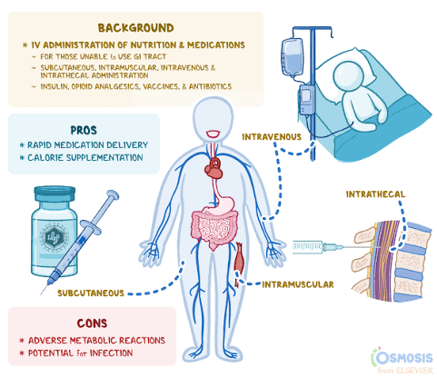 <ul><li><p>IV, IM, Sub-Q, intradermal Sterile, IV rapid effects, sub-q for heparin and insulin, IM few drugs, intradermal inject skin test. </p></li><li><p>Insulin syringe for insulin, TB syringe for measuring small amounts</p></li></ul><p></p>