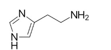 <p>histamine</p>