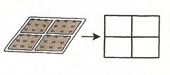<p>field</p>
