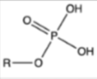 <p>what functional group is this structure and what are it’s properties</p>