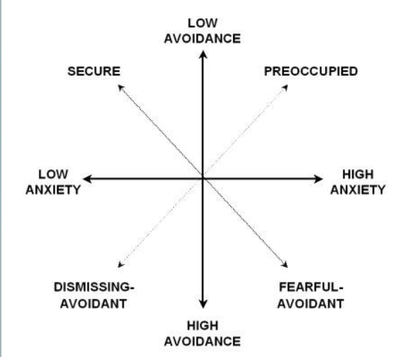 <ol><li><p>low anxiety/avoidance = <strong>secure</strong></p></li><li><p>low anxiety + high avoidance = <strong>dismissing avoidant</strong></p></li><li><p>high anxiety + low avoidance = <strong>preoccupied</strong></p></li><li><p>high anxiety/avoidance = <strong>fearful-avoidant</strong></p></li></ol><p></p>
