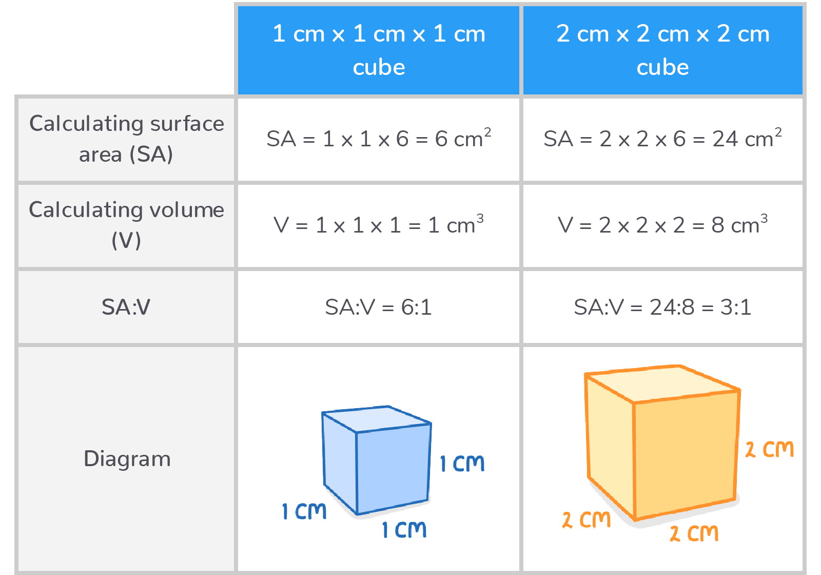 <p>calculate surface area l x w x 6</p><p>calculate volume l x w x d</p><p>( for a cube )</p>