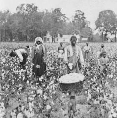 <p>What was the Southern economy was based on?</p>