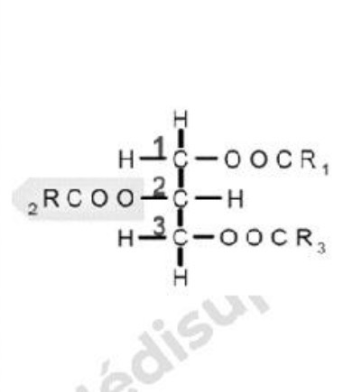 <ul><li><p>2 fonctions alcools primaires </p></li><li><p>1 fonction alcool secondaire </p></li></ul><p></p>